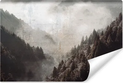Produktbild von Muralo Vlies Fototapete für Wohnzimmer WALD IM NEBEL Bäume Landschaft 3D Retro Br. 368cm x Hö. 254cm