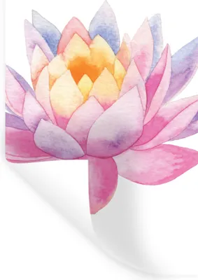 Produktbild von MuchoWow® Wandtattoo Wandsticker Wandaufkleber Aquarell - Blume - Seerose 20x40 cm Selbstklebend und Repositionierbar - Selbstklebend - Fototapeten
