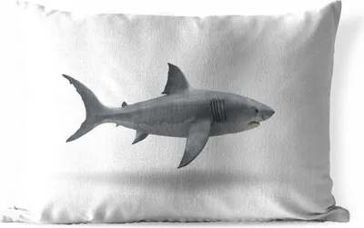 Produktbild von MuchoWow® Outdoor Kissen - Hai - Meerestiere - Weiß - 60x40 cm - Wetterfest - Lounge Kissen - Zierkissen - Kissen für Innenräume