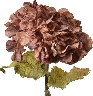 Image de Clayre & Eef Fleur artificielle Hortensia 55 cm Violet Plastique