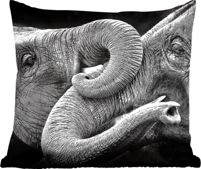 Produktbild von MuchoWow® Zierkissen Sofakissen Wohnzimmer Dekokissen 50x50 cm Elefant - Tiere - Schwarz - Weiß - Komfort - Sofakissen