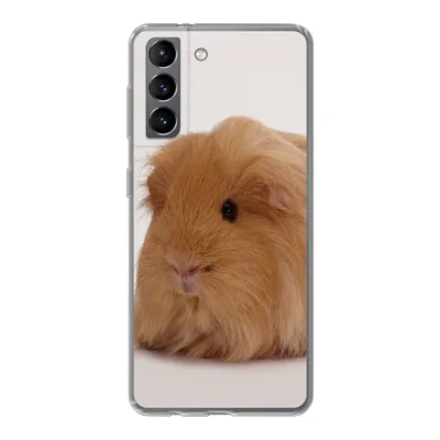 Produktbild von MuchoWow® Handyhülle Schutzhülle Hülle für Samsung Galaxy S21 Sheltie-Meerschweinchen Silikon Softcase Handy Hülle - Softcase