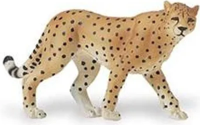 Produktbild von Safari - 271929 - Gepard, Tierfigur, PVC, 10cm x 5cm x 2cm