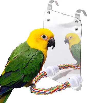 Produktbild von Vogelspielzeug, papageienspielzeug Sitzstange, Vogelspiegelspielzeug mit Seil