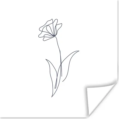 Produktbild von MuchoWow® Poster Blume - Narzisse - Botanisch 50x50 cm - Wohnzimmerdekoration