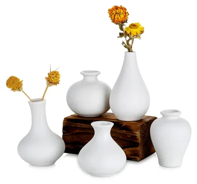 Produktbild von Kleine weiße Keramikvasen im 5er-Set, handgefertigte Mini-Keramikvasen für Blumen und Pampasgras, moderne Blumenvase für Wohnzimmer, Küche, Büro und Tisch