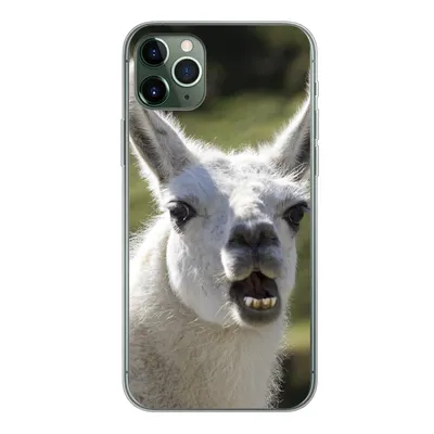 Produktbild von MuchoWow® Handyhülle Schutzhülle Hülle für iPhone 11 Pro Max Lama - Lustig - Kinder - Jungen - Mädchen - Kinder Silikon Softcase Handy Hülle - Schutz