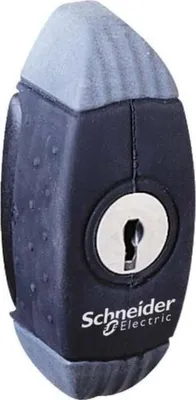 Produktbild von Schneider Electric Knebelgriff NSYAEDL2433S3D