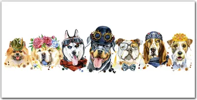 Produktbild von Coloray Bild aus Leinwand 140x70 Leinwand Dekoration - Hunde