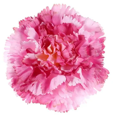 Obrázek produktu pro Autronic Karafiát květ 12 ks KUM3420-PINK