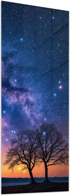 Produktbild von Glasbild 50x125cm in XXL für Wohnzimmer, Schlafzimmer Motiv Sternenhimmel Baum