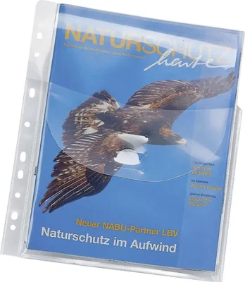 Produktbild von Veloflex® 4320 100 Faltentaschen JUMBO - glasklar, 0,20 mm, A4, 10 Stück