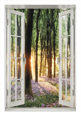 Produktbild von Wallario Wandbild mit Fenster-Illusion: Blaue Hasenglöckchen im Wald mit Sonnenstrahlen, Größe: 61 x 91,5 cm, Poster mit rahmenlosen Bildhalter
