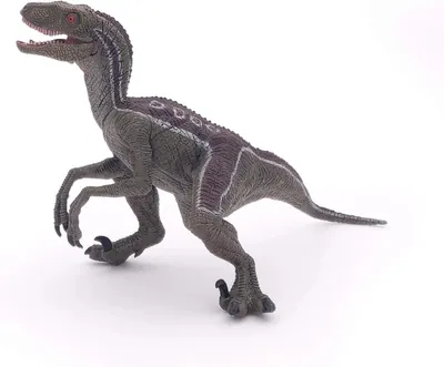 Image de Papo Figurine de jeu 10cm Velociraptor, dès 3 ans