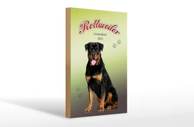 Produktbild von Holzschild Hund 20x30cm Rottweiler Deutschland 1850