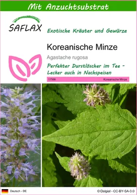 Produktbild von SAFLAX - Koreanische Minze - Agastache rugosa - 1200 Samen - Mit keimfreiem Anzuchtsubstrat