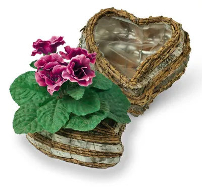 2 x Pflanzkorb Pflanzkörbchen herzförmig m. Rattanrinde u Äste Gr. 26x25/19x18cm