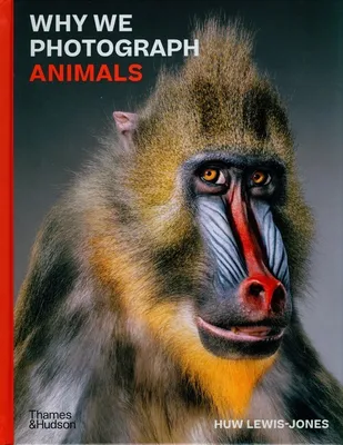 Produktbild von Why We Photograph Animals