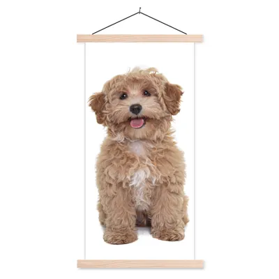 Produktbild von MuchoWow® Textilposter Hund - Haustiere - Fell 60x120 cm mit holzfarbenen Rahmen - Holz