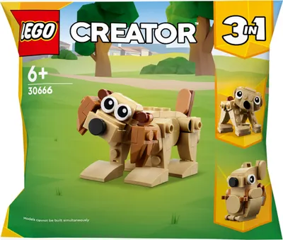 Produktbild von Geschenkset mit Tieren