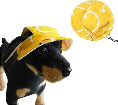 Produktbild von Runde Sonnenhut für Hunde, Katzen, gelb, Outdoor