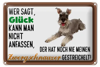 Produktbild von Blechschild Spruch 30x20cm Glück Zwergschnauzer Hund