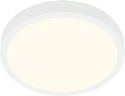 Obrázek produktu pro LED stropní světlo dílenské světlo pro povrchovou montáž 4000K 16W Ø28cm bílé Briloner