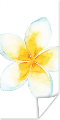 Produktbild von MuchoWow® Poster Aquarellfarbe - Blume - Tropisch 80x160 cm - Kinderzimmer