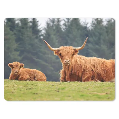 Produktbild von MuchoWow® Mauspad Mousepad Schottische Highlander - Gras - Wald 40x30 cm - Mousepads - Maus Mat - Pad - Mausunterlage - Anti Rutsch