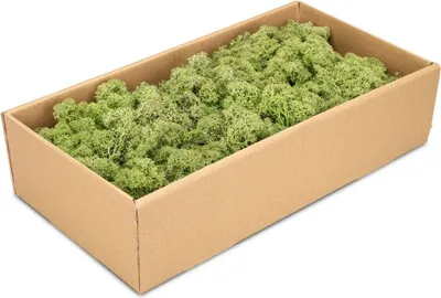 Produktbild von Islandmoos 500g in 30 Farben – Konserviertes Rentiermoos Natur, Farbe:Medium Grün