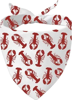 Immagine prodotto di Bandana Kreeft per cani, rossa, un pezzo