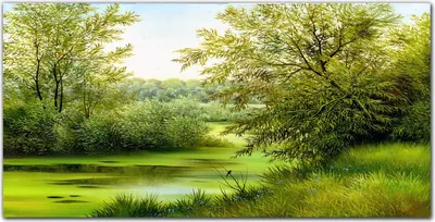 Produktbild von Coloray - Bild aus Glas - Glasbilder - 100 x 50 cm - Gehärtetes Glas Glasblock mit Bild Küche Wohnzimmer Wanddekoration Dekoration - Bäume Fluss Natur