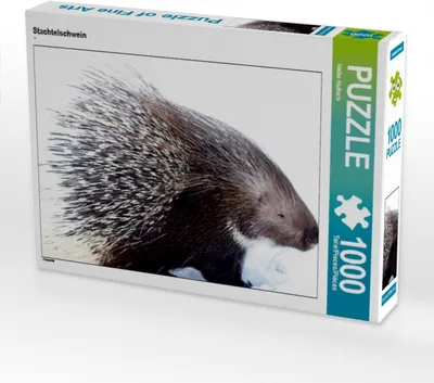 Produktbild von Calvendo Stachtelschwein 1000 Teile Puzzle quer 640x480mm, Hultsch Heike; 7287578