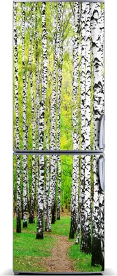 Produktbild von Tulup Kühlschrankdekoration - Magnetmatte - 60 cm x 180 cm - Magnet auf dem Kühlschrank - Birkenwald