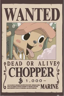 Produktbild von One Piece - "Wanted" Maxi-Poster, Tony Chopper, Papier PM12810 (91,5 cm x 61 cm) (Bunt)