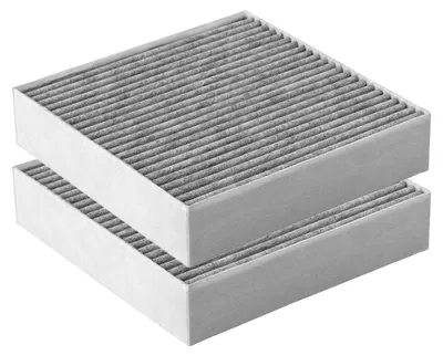 Produktbild von AllSpares Long Life Aktivkohlefilter (2St.) geeignet für Oranier P220 (220x220x50mm)