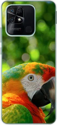 Produktbild von König Design Hülle kompatibel mit Xiaomi Redmi 10C Kunststoff Soft Handyhülle - Handy Case Papagei