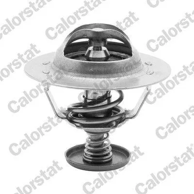 Image de CALORSTAT by Vernet Thermostat, liquide de refroidissement x TH6583.88J
