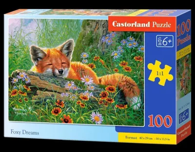 Zdjęcie produktu dla Puzzle 100 elementów Foxy Dreams 111244 Castorland