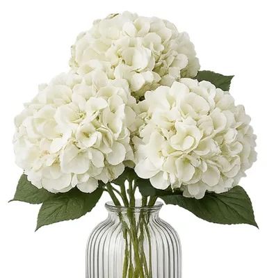 Produktbild von G.blümt Künstliche Hortensien 64 cm lang, Kunstblumen Real Touch wie echt, Weiß 3 Stück