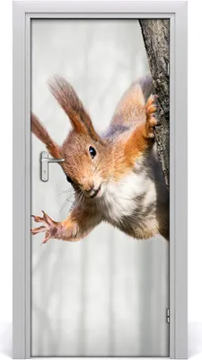 Produktbild von Tulup Türaufkleber 85x205 cm Dekorative Aufkleber Selbstklebend Wasserdichte Tapete Abnehmbar Schlafzimmer Wohnzimmer Wohnkultur - Aufkleber in einem Baum Eichhörnchen
