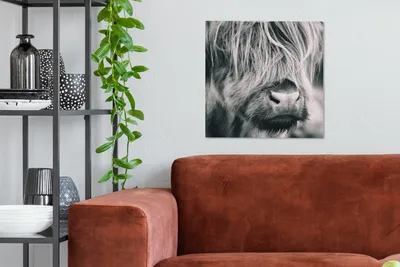 Produktbild von MuchoWow® - Leinwandbilder - Schottischer Highlander - Kuh - Schwarz - Weiß, Wandbild, Wanddeko Bilder Wohnzimmer, 50x50 cm