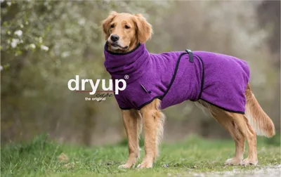 Produktbild von Dryup Cape bilberry M (60cm)