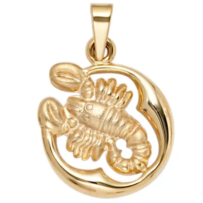 Produktbild von Anhänger Sternzeichen Skorpion 375 Gold Gelbgold teilmattiert Horoskop