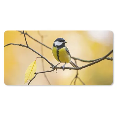 Produktbild von MuchoWow® Schreibtischunterlage Kohlmeise - Zweig - Vogel - Tiere 80x40 cm - XXL Mauspad - Gaming Mauspad