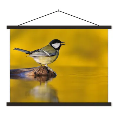 Produktbild von MuchoWow® Textilposter Kohlmeise - Vogel - Wasser 150x113 cm mit schwarzem Rahmen - Wohnzimmer