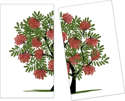 Produktbild von Spritzschutz Herdabdeckplatte Schneidebrett aus Glas Himbeerbaum Illustration 2-Teilig (60x52cm)
