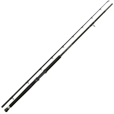 Produktbild von Black Cat Buster Multistyle 2,90m 300-600g - Wallerrute
