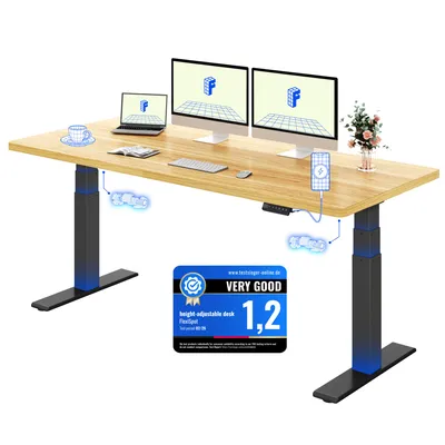 Produktbild von FLEXISPOT ValtreX E200 Höhenverstellbarer Schreibtisch 180x80cm 200KG TRAGKRAFT, 25MM EINTEILIGE TISCHPLATTE, 2 Motoren, USB-Anschluss, Ahorn