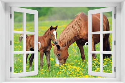 Produktbild von Wallario Poster mit Fenster-Illusion: Pferde auf der Koppel, Größe: 61 x 91,5 cm (Maxiposter)